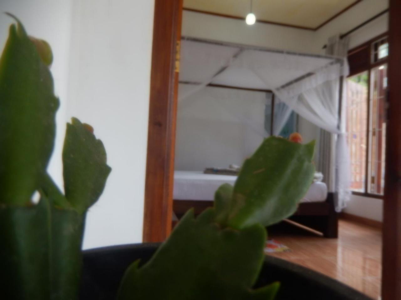 Village Nest Ella Extérieur photo